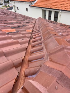 Best Roofing Services Sydney
