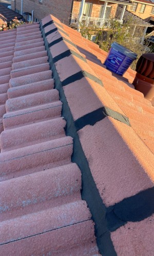 Bass Roofing Sydney (6) Experience Roofing Services Sydney