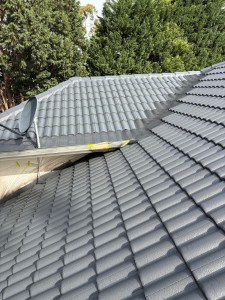 Best Roof Cleaning Service Sydney – Removing Moss & Algae