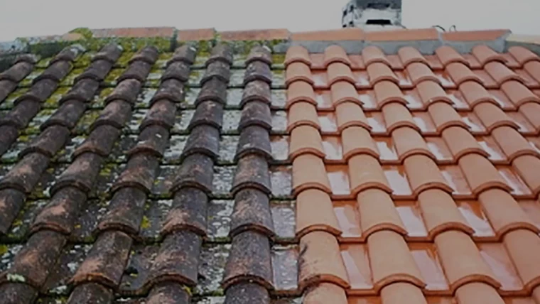 Roof Cleaning Central Coast