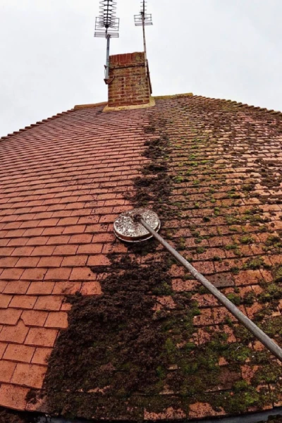 Roof Cleaning